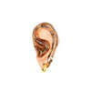 Ear / Senses brooches